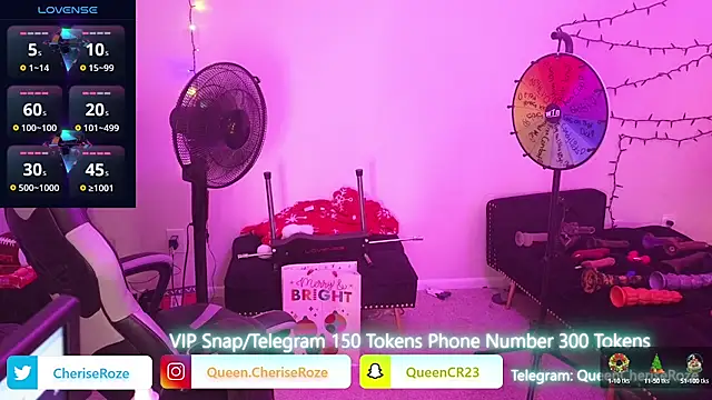 Snapshot of cheriserozequeen chatting on 12.22.24 cheriserozequeen online show from 12.22.24