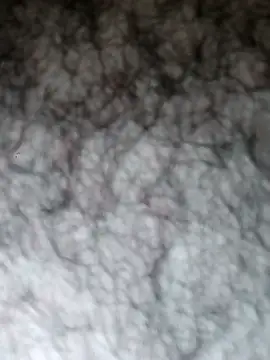 Hairyarabguy online show from 05.14.26