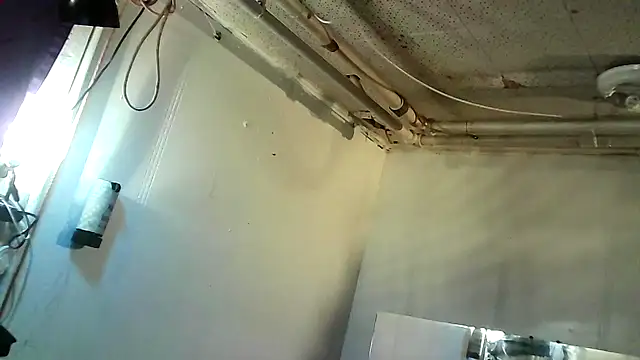 bigdickmtlqc online show from 03.02.25