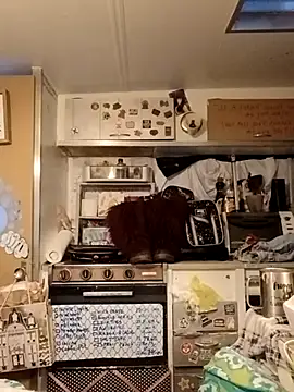 whitetrashdirtyslut online show from 03.18.26