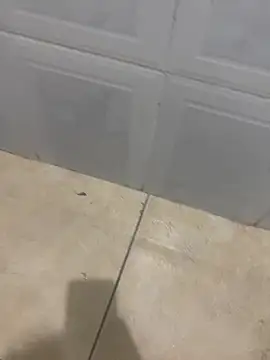 rafahpirusudo online show from 03.18.26