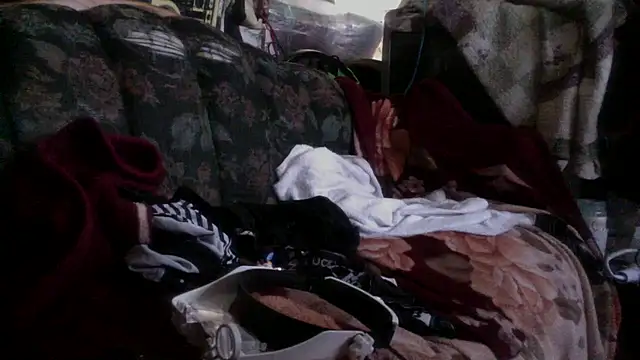 Phelyxx elgato online show from 12.09.24