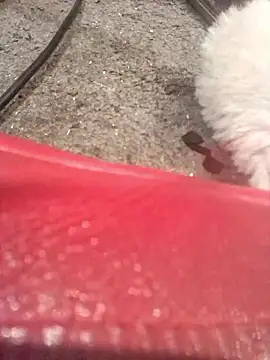 Snapshot of lubme chatting on 10.07.25 lubme online show from 10.07.25