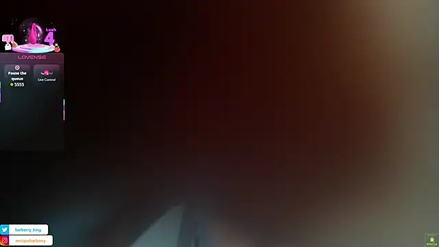 EnriqueBarberry online show from 01.11.26