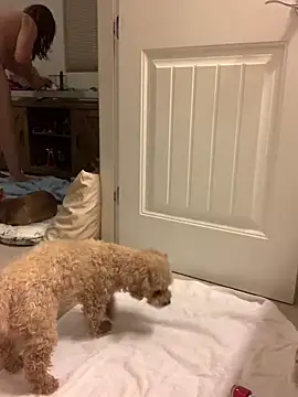 Snapshot of balad13 chatting on 01.21.25 balad13 online show from 01.21.25