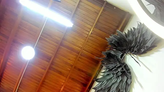 Snapshot of Levy_Steve chatting on 10.03.25 Levy Steve online show from 10.03.25