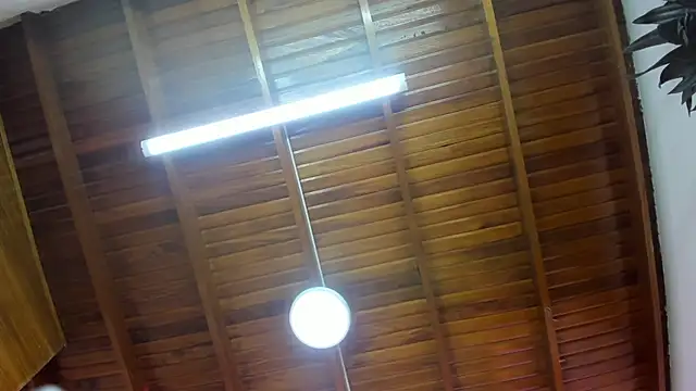 Snapshot of Levy_Steve chatting on 11.26.25 Levy Steve online show from 11.26.25