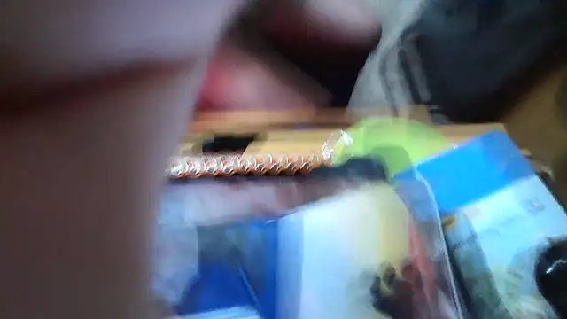 Snapshot of Javier_bear chatting on 01.15.26 Javier bear online show from 01.15.26