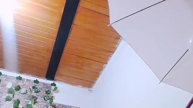 Snapshot of MaidenGame chatting on 02.19.26 MaidenGame online show from 02.19.26