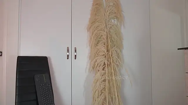 roselinedior online show from 10.20.25