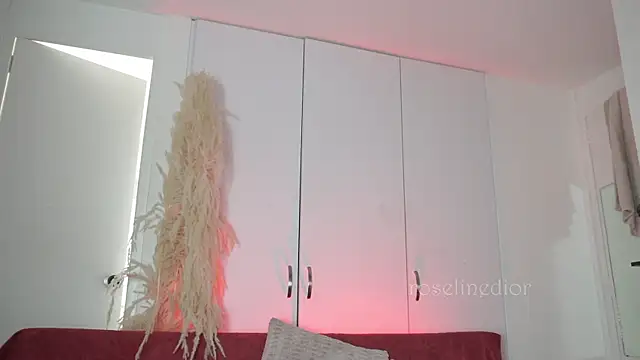roselinedior online show from 11.10.25