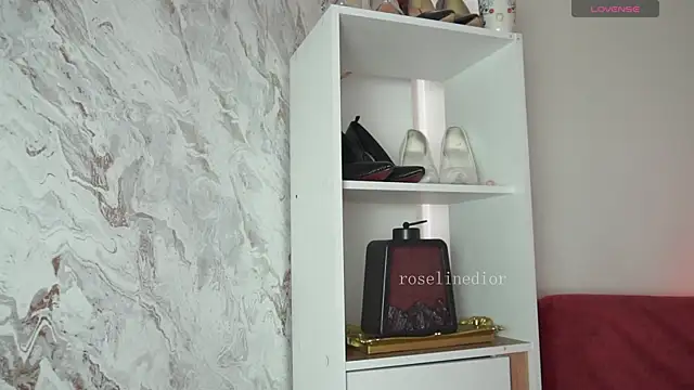 roselinedior online show from 04.07.26