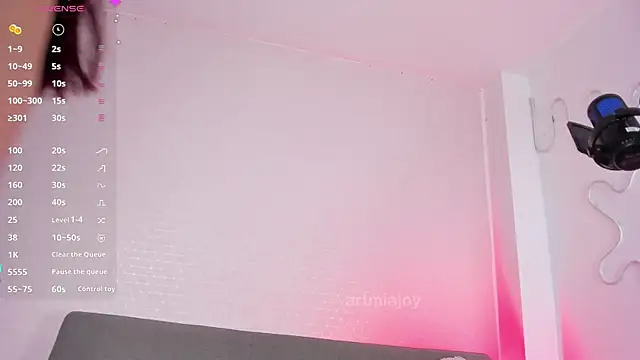 Snapshot of artmiaa chatting on 11.05.25 artmiaa online show from 11.05.25