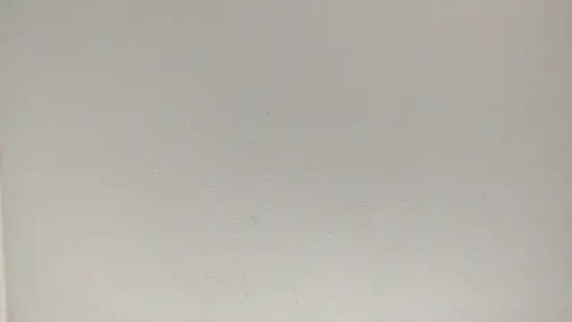 fukurbutt online show from 02.03.26