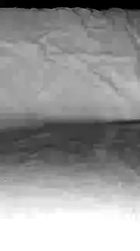 BigAssKi online show from 02.03.25