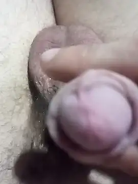 El22 1431 online show from 12.22.24