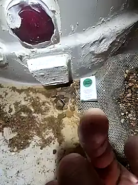 cdressupdiva online show from 01.20.25