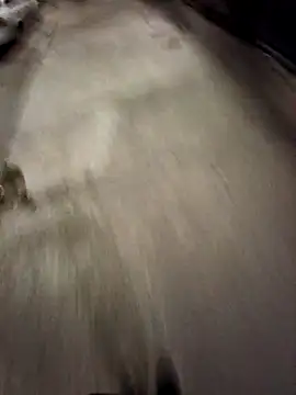 BandidodeAmores 84 online show from 10.19.25