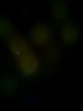 LongDickZee562 online show from 03.08.25