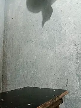 Sergipano fogozinho online show from 12.05.25