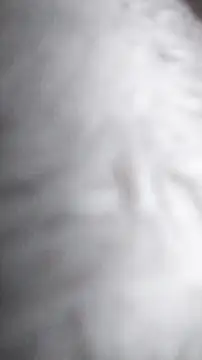 Ajhustler1xh online show from 01.09.26