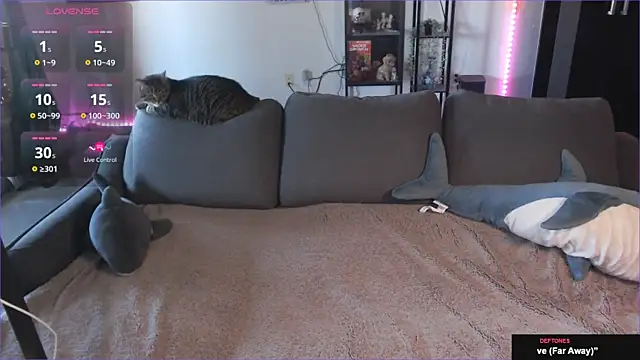 Snapshot of Clairedelilah chatting on 01.21.25 Clairedelilah online show from 01.21.25