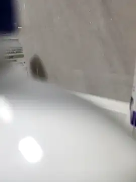 Beijing2000 online show from 03.27.26