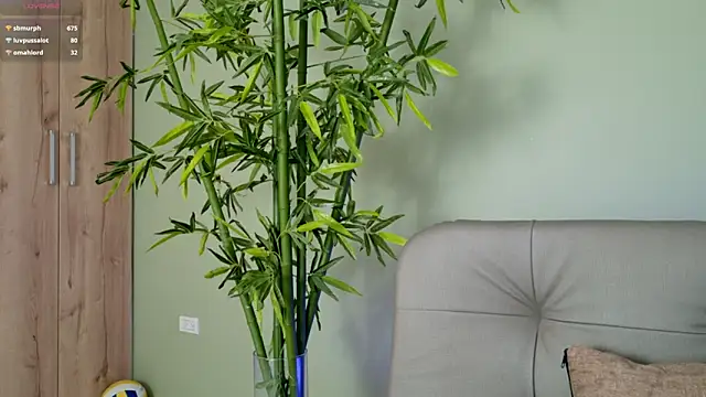 were-Naughty online show from 02.27.25