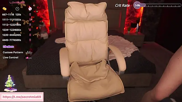 Snapshot of SecretDesireMe chatting on 12.26.24 SecretDesireMe online show from 12.26.24