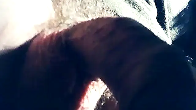 wedge75 online show from 02.08.25