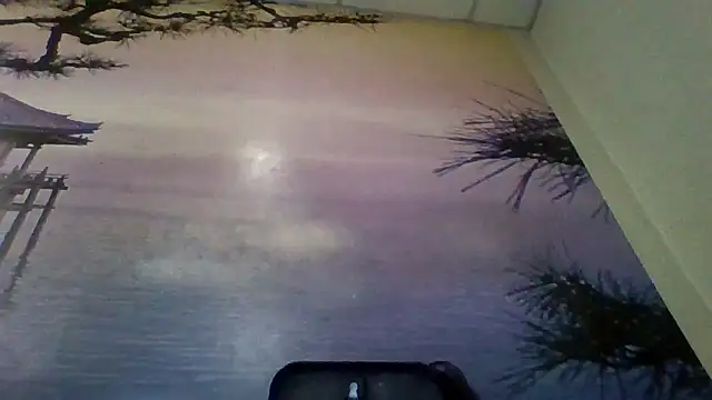 AliceTailor online show from 02.02.26