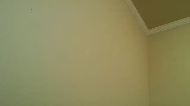 Snapshot of YelpedAverting chatting on 12.17.25 YelpedAverting online show from 12.17.25