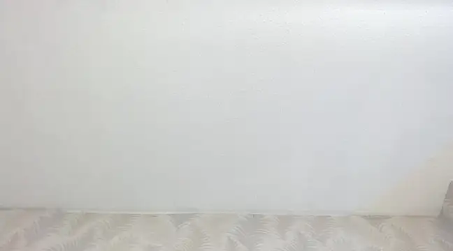 KasandraPhillips online show from 02.13.25