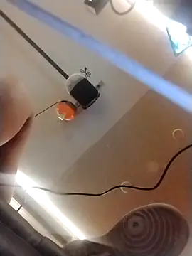 halobabe7620 online show from 10.14.25