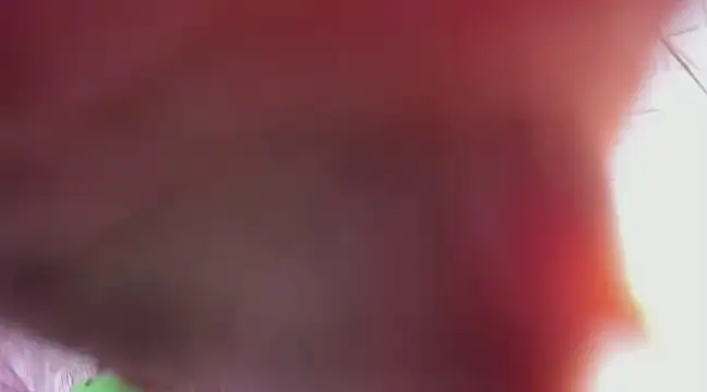 Kimmymadison- online show from 03.09.25