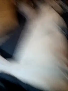 Snapshot of ySqmbVanbe chatting on 11.11.25 ySqmbVanbe online show from 11.11.25