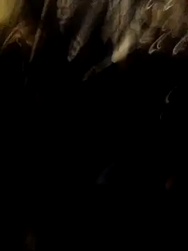 Snapshot of ySqmbVanbe chatting on 11.17.25 ySqmbVanbe online show from 11.17.25