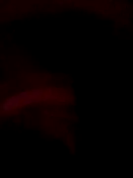 Snapshot of ySqmbVanbe chatting on 12.14.25 ySqmbVanbe online show from 12.14.25