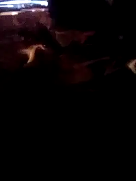 ySqmbVanbe online show from 03.02.26