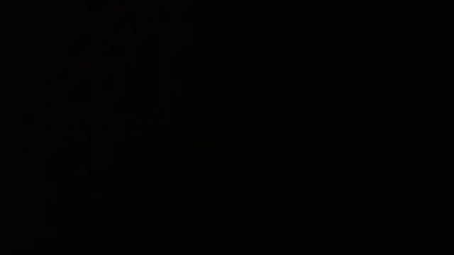 Snapshot of gauchinhaG chatting on 09.24.25 gauchinhaG online show from 09.24.25