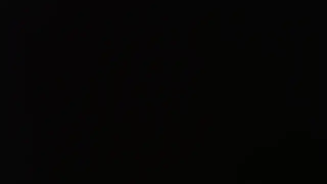 Snapshot of gauchinhaG chatting on 10.03.25 gauchinhaG online show from 10.03.25