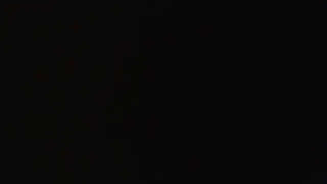 Snapshot of gauchinhaG chatting on 10.17.25 gauchinhaG online show from 10.17.25