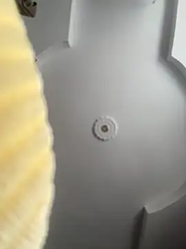 Snapshot of emiss_ chatting on 10.08.25 emiss online show from 10.08.25