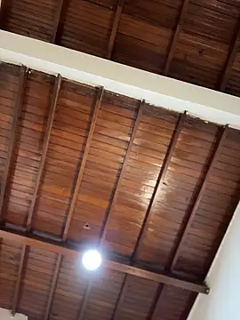 emiss  online show from 01.31.26