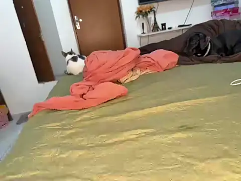 BRUALENC online show from 02.24.26