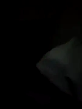 tessafontana37 online show from 01.03.25