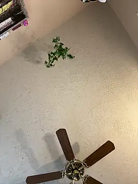 Snapshot of magicalc00ch chatting on 03.15.25 magicalc00ch online show from 03.15.25