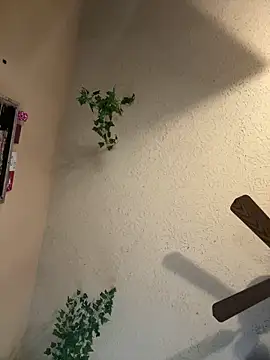 Snapshot of magicalc00ch chatting on 03.16.25 magicalc00ch online show from 03.16.25