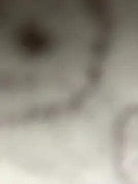 Snapshot of Leyna_liu chatting on 01.11.25 Leyna liu online show from 01.11.25