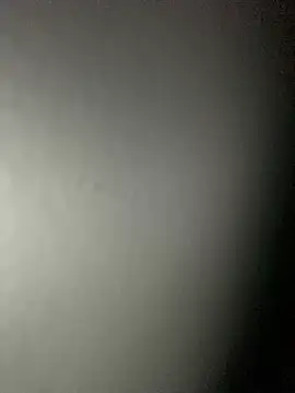 Snapshot of Leyna_liu chatting on 02.04.25 Leyna liu online show from 02.04.25